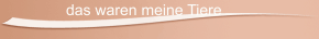 das waren meine Tiere