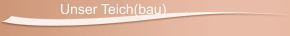 Unser Teich(bau)